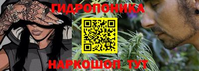Альфа ПВП Лесосибирск