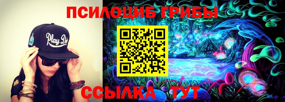 Псилоцибиновые грибы ЛСД Изобильный