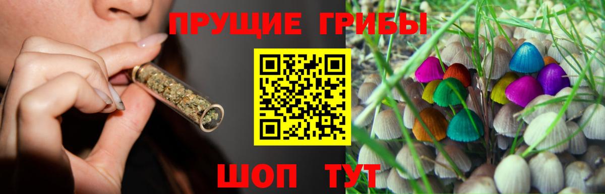 Галлюциногенные грибы Cubensis  Вход с VPN  Галлюциногенные грибы GOLDEN TEACHER  Изобильный 