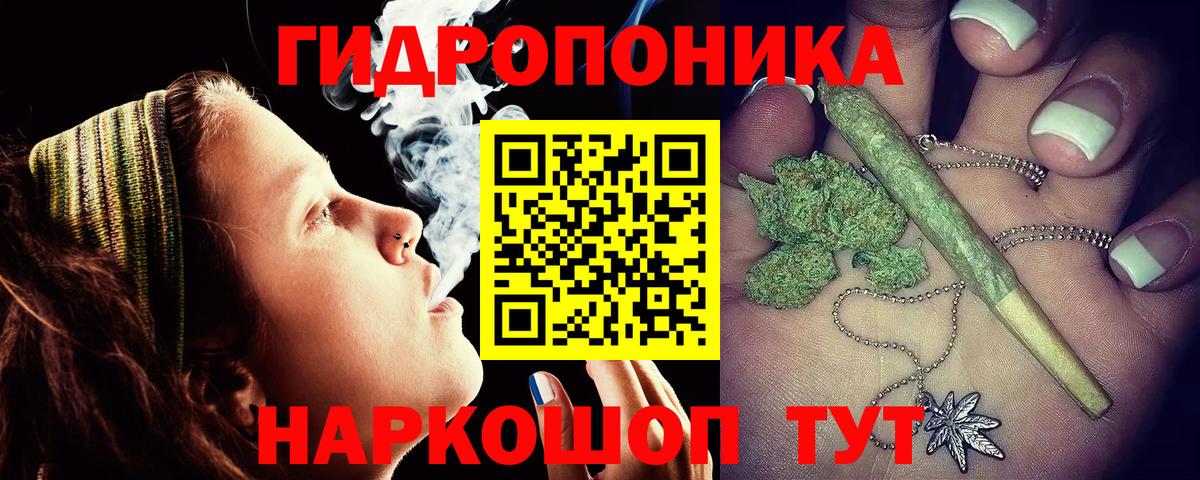 Канабис MAZAR Изобильный